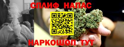 гашик Брянск