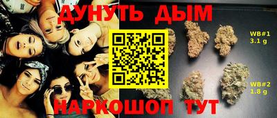 гашик Брянск