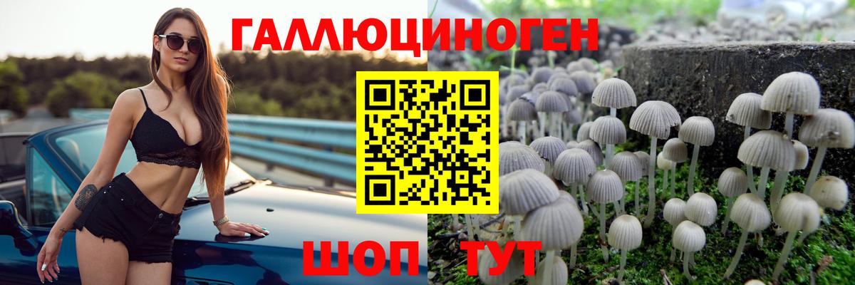 Галлюциногенные грибы GOLDEN TEACHER  Галлюциногенные грибы мицелий  Улан-Удэ  наркотики  Вход с VPN 