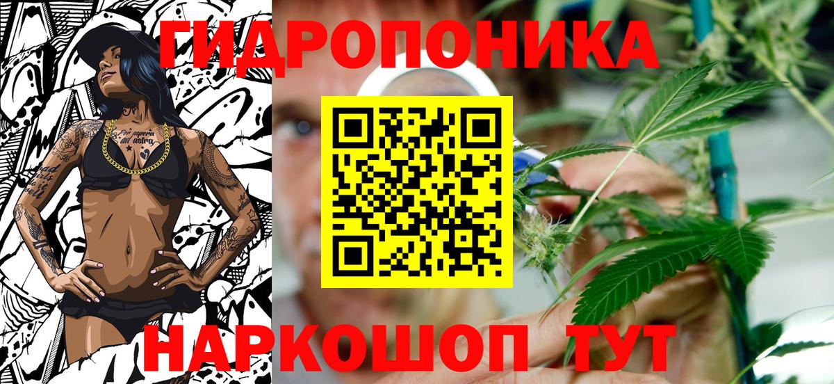 Бошки марихуана конопля Улан-Удэ